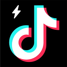 TikTok (WebAccess) icon